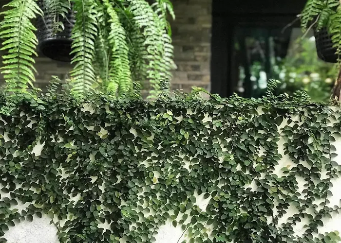 At Leaf Villa