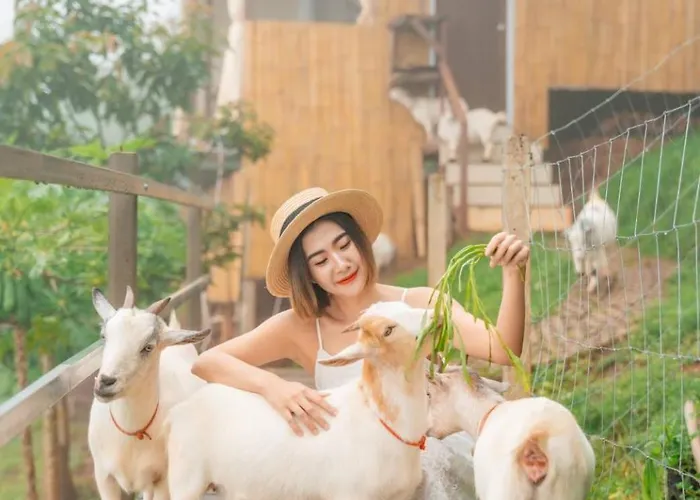 Kirin Farm